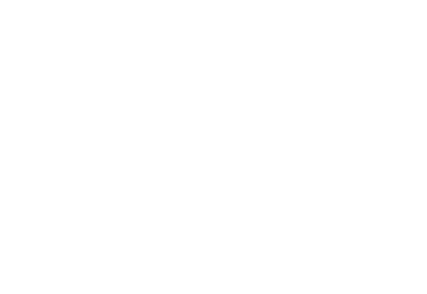 feel-llc